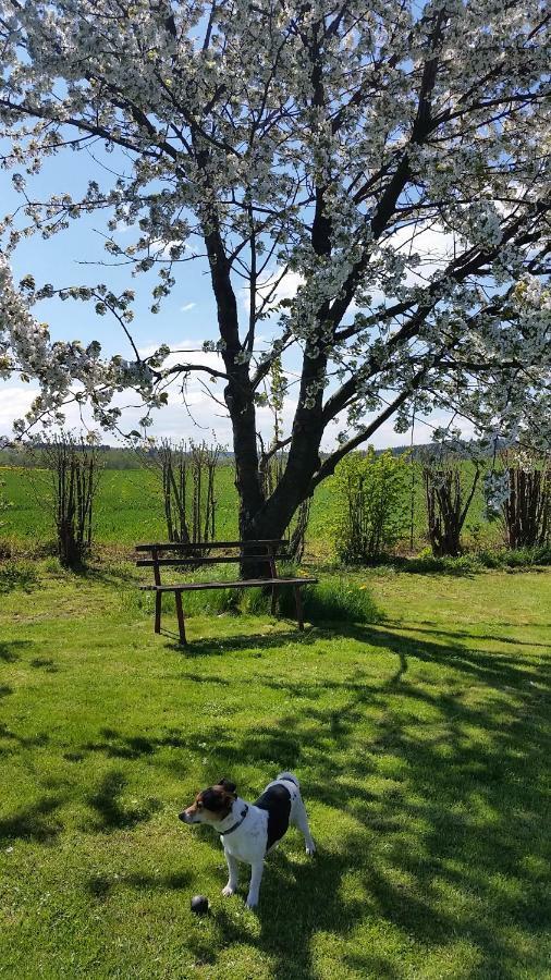 Ferienhaus Stolle Lawalde エクステリア 写真